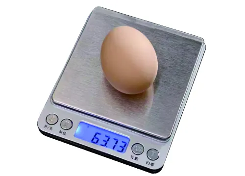 201款500g.2kg厨方秤